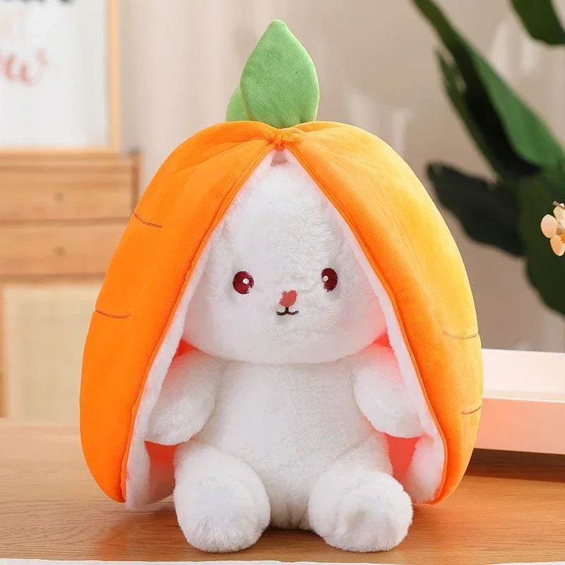LapiCoon
