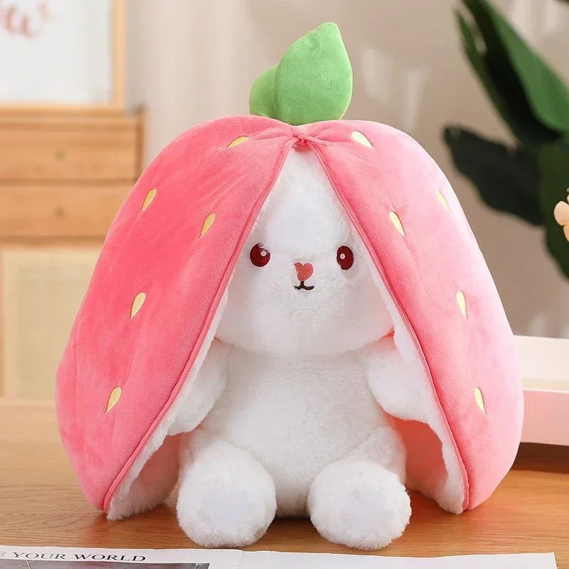LapiCoon