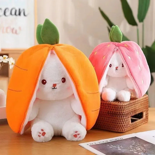 LapiCoon